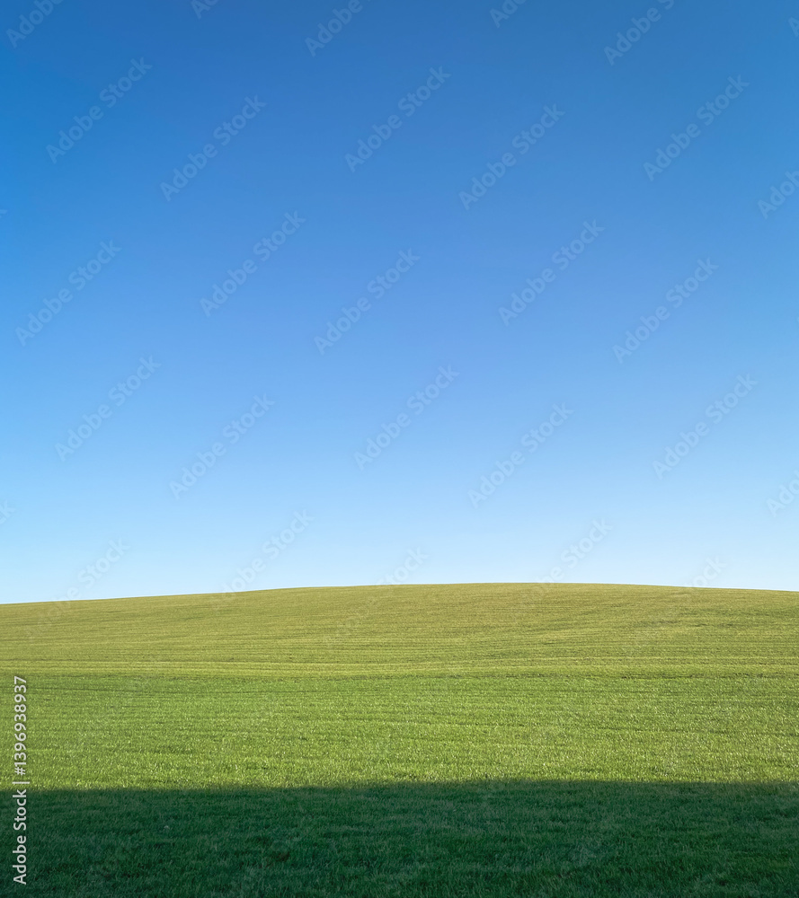 Fototapeta premium Field with short grass, dark shadow in foreground. Green hill and clean sky without clouds in the afternoon.
