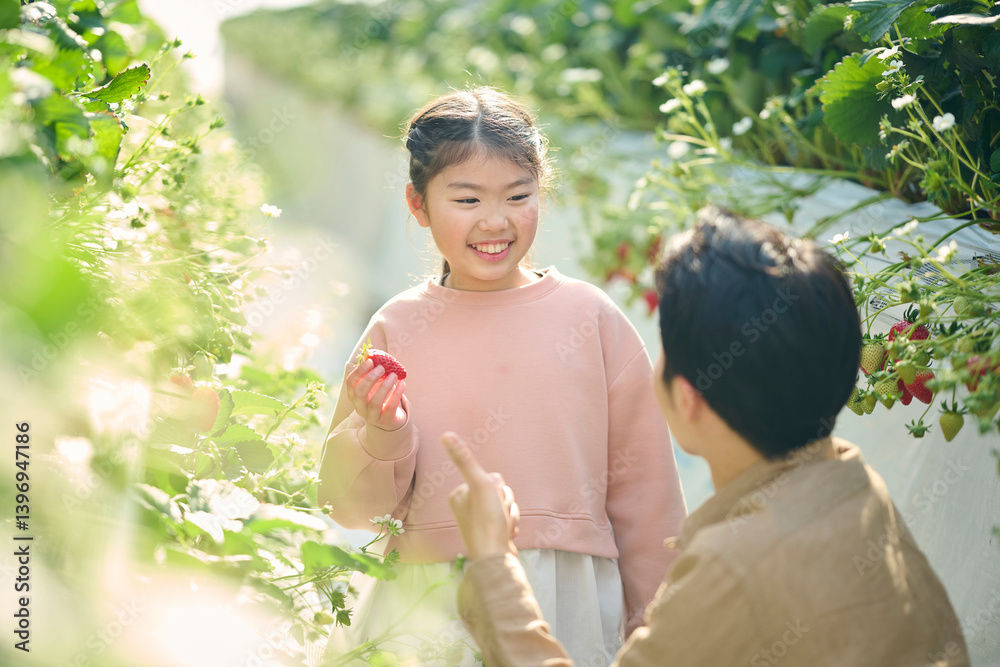 Obraz premium 農園でいちご狩りを楽しむ親子