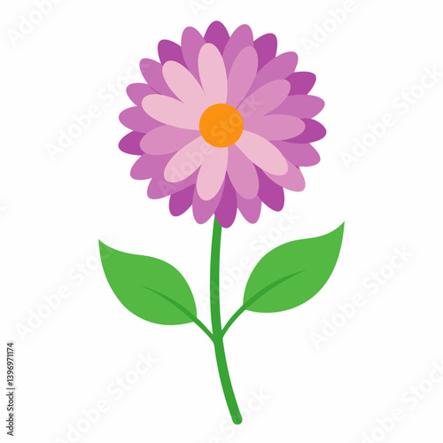 Aster flower vector isolated on white background