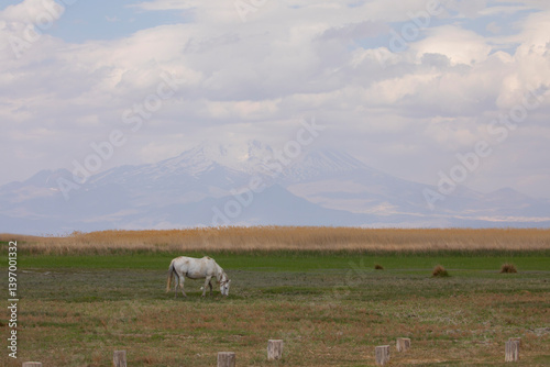 Obraz na płótnie Kayseri Erciyes Mountain and Surroundings w salonie
