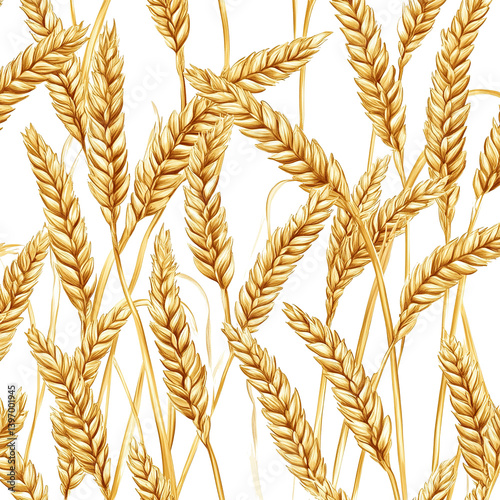 wheat ears seamless pattern