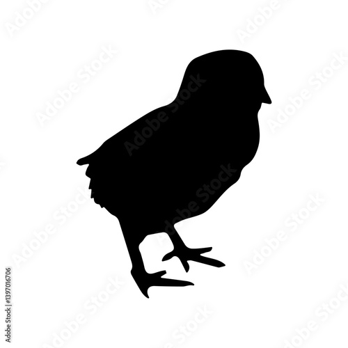 Chick black