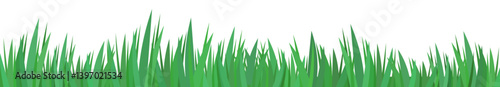 Flat style green grass stripe at the bottom (cut out)