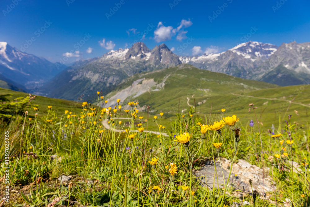 Fototapeta premium Mont Blanc, Monte Bianco mountain summit snow dome above the Chamonix valley in France. Highest peak in Europe in the Alps, alpine scenic view of Montblanc