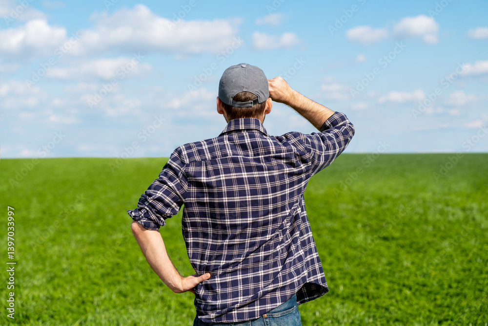 Rear view of a male farmer standing in a winter wheat field in early spring looking at the horizon Rear view of a male farmer standing in a winter wheat field in early spring looking at the horizon