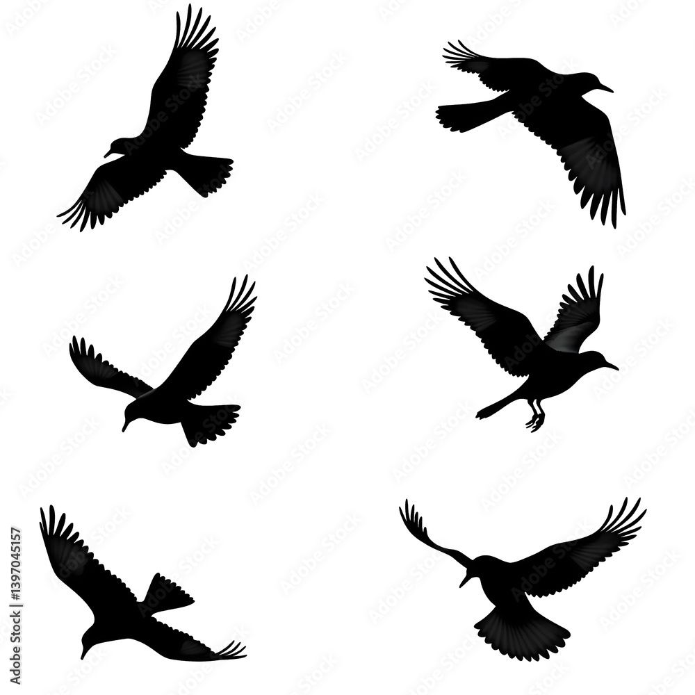 Obraz premium Birds flying isolated on a transparent background showcasing various positions and wing formations