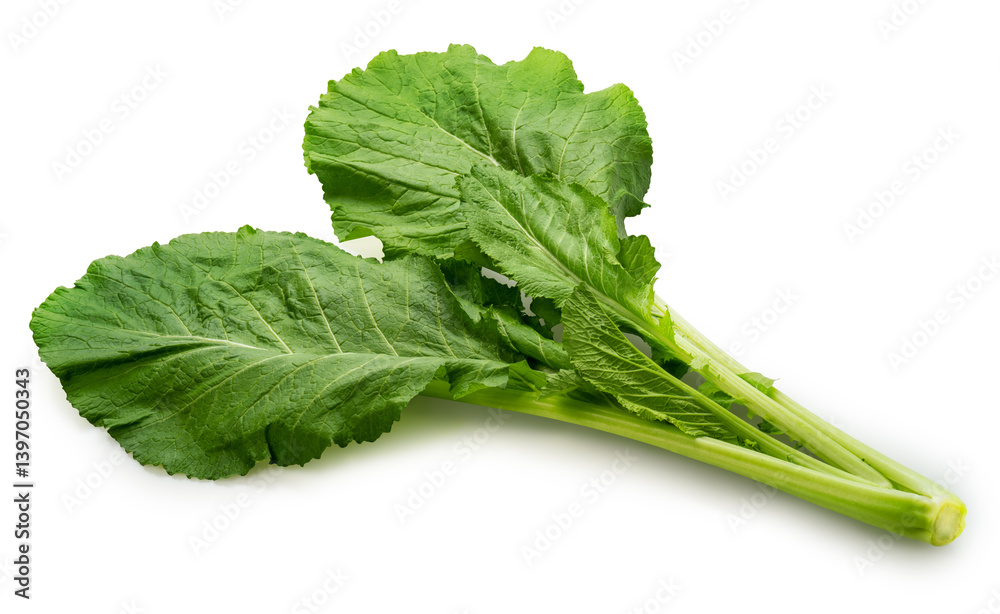 Chinese Spinach On White background,Celtuce isolated on white background with clipping path. Chinese Spinach On White background,Celtuce isolated on white background with clipping path.