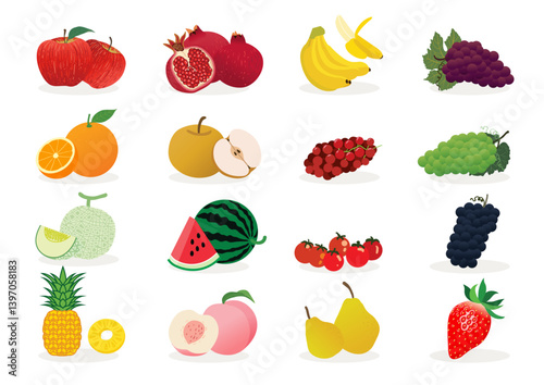 Illustration of various fruit image vectors
