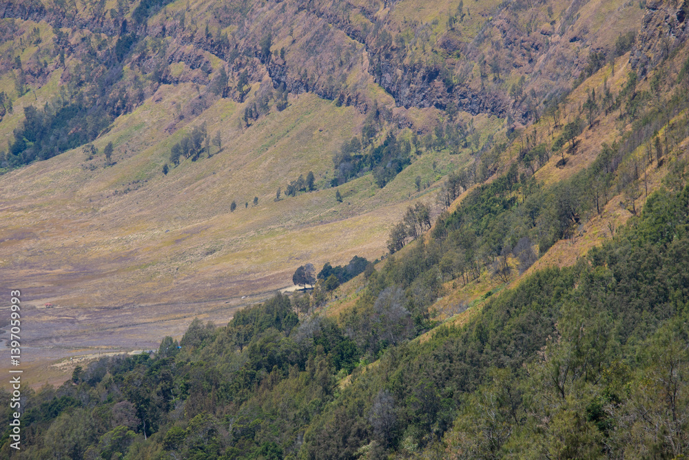 Naklejka premium A scenic landscape of lush green hills with gentle slopes covered in natural vegetation. The open countryside displays soft gradients of grass and earth tones under sunlight. A peaceful and natural at