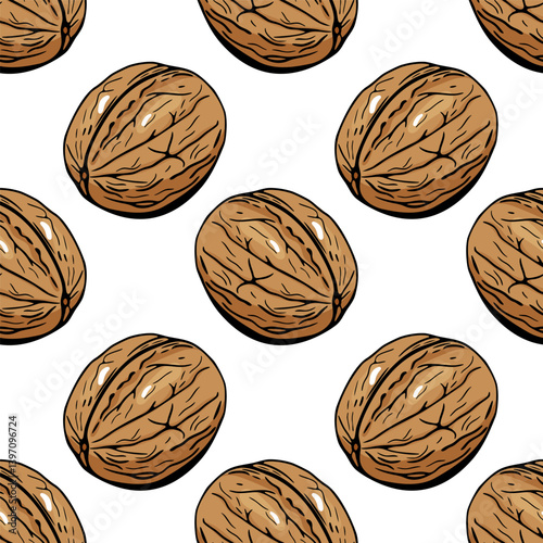 Seamless walnut pattern in hand drawn vector cartoon style