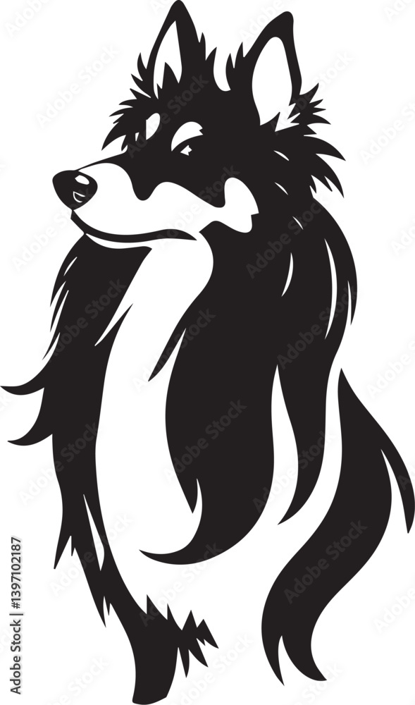 Obraz premium Sheltie Dog. Hand drawn vector illustration 