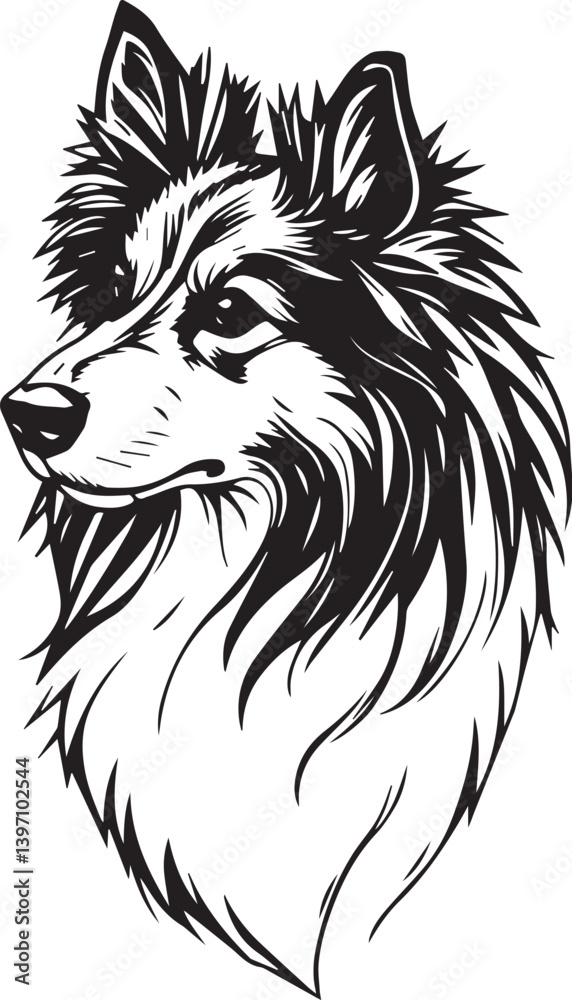 Fototapeta premium Sheltie Dog. Hand drawn vector illustration 