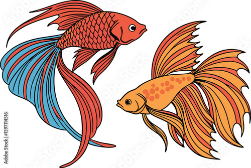 Siamese fighting fish illustration goldfish vibrant art vector design.