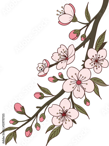 Simple Pink Cherry Blossoms on Branch – Minimalist Japanese Style Vector Illustration