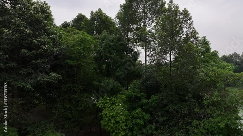 Green Space: A Foundation for a Sustainable Future