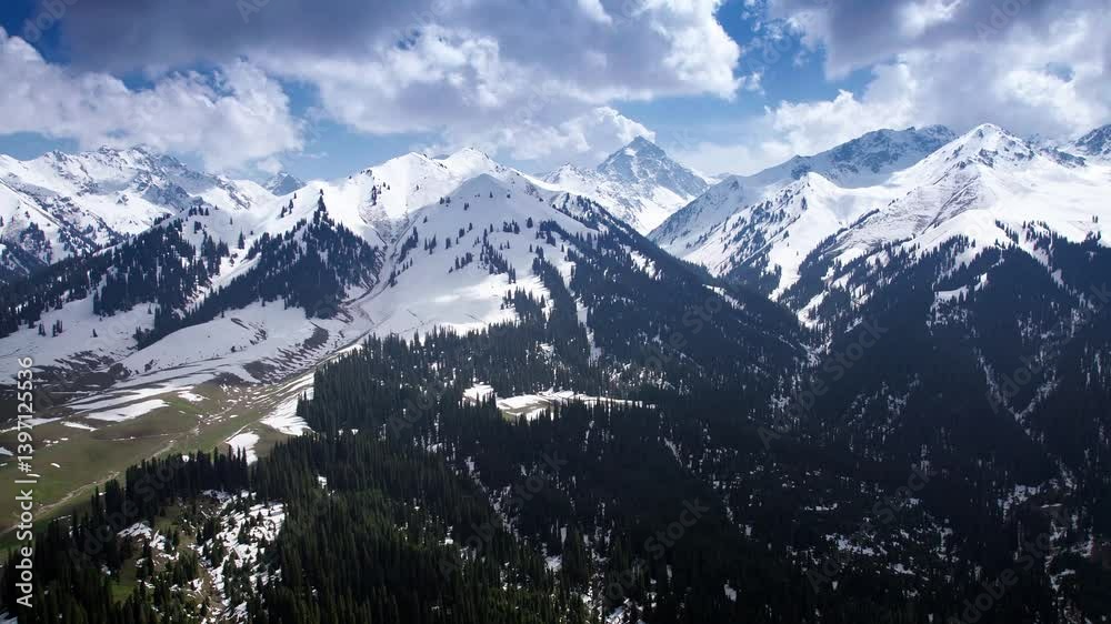 custom made wallpaper toronto digital4k Video of the Serene Forests and Snowy Mountains of Kuldinin, Yili, Xinjiang Region in Wintertime