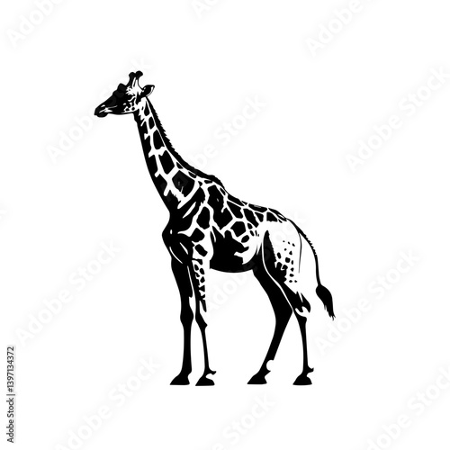 Giraffe standing tall against a plain background showcasing its unique patterns and long neck