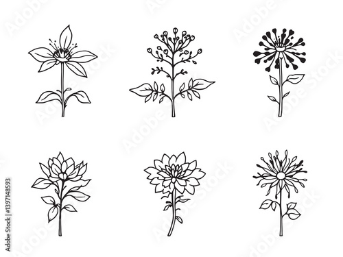 Bee Balm Hand Sketched Set