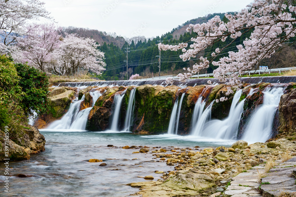 Obraz premium 石川県の穴場桜名所「十二ヶ滝」