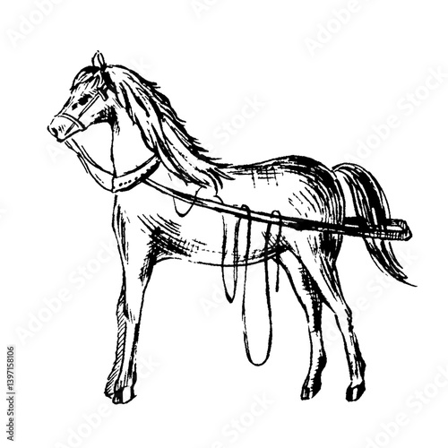 アンティークな線画の馬,horse