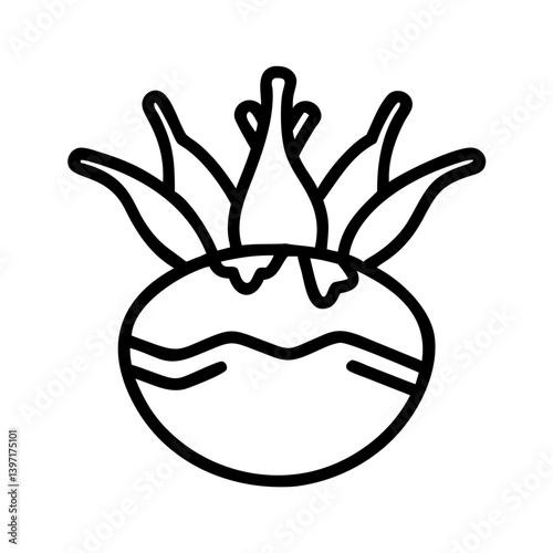 Illustration of fresh kohlrabi vegetable with leaves outline vector drawing