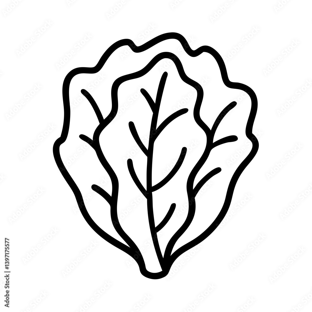Lettuce leaf vector illustration, fresh salad ingredient, healthy food outline icon Lettuce leaf vector illustration, fresh salad ingredient, healthy food outline icon