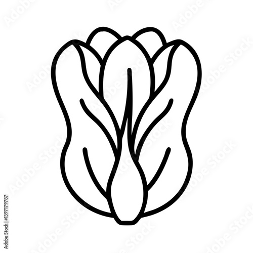 Vector illustration of bok choy vegetable outline for design and decoration needs