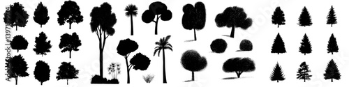 Collection of 14 hand-drawn tree elements in modern graphic ink sketch illustration of different types of trees
