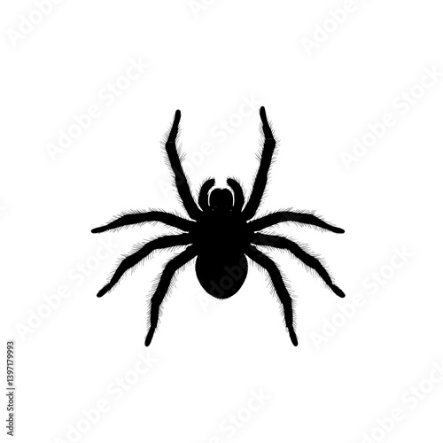 In the magnifier is an insect, Brachypelma smithi, a female spider, with a corresponding sketch, all part of a tarantula design intended for modern coloring books