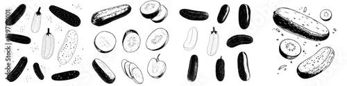 Modern isolated sketch illustration of a cucumber in black and white graphic