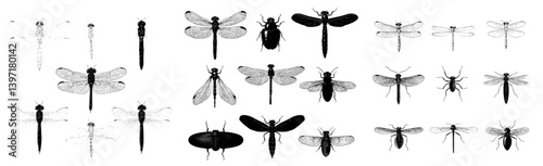 A vast array of insects, comprising bugs, beetles, and bees, with multiple species depicted in a classic, hand-drawn, vintage style, reminiscent of engraved illustrations and woodcuts