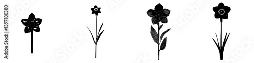 The card features three hand drawn narcissus flowers in a vintage elegant style, with one black narcissus having a white stroke, creating a modern illustration