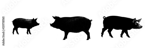 The image features a black hand drawn pig in a modern grunge style, created with black ink and set against a white isolated backdrop