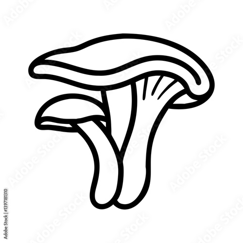 Mushroom drawing vector illustration of edible fungi for cooking and nature guides