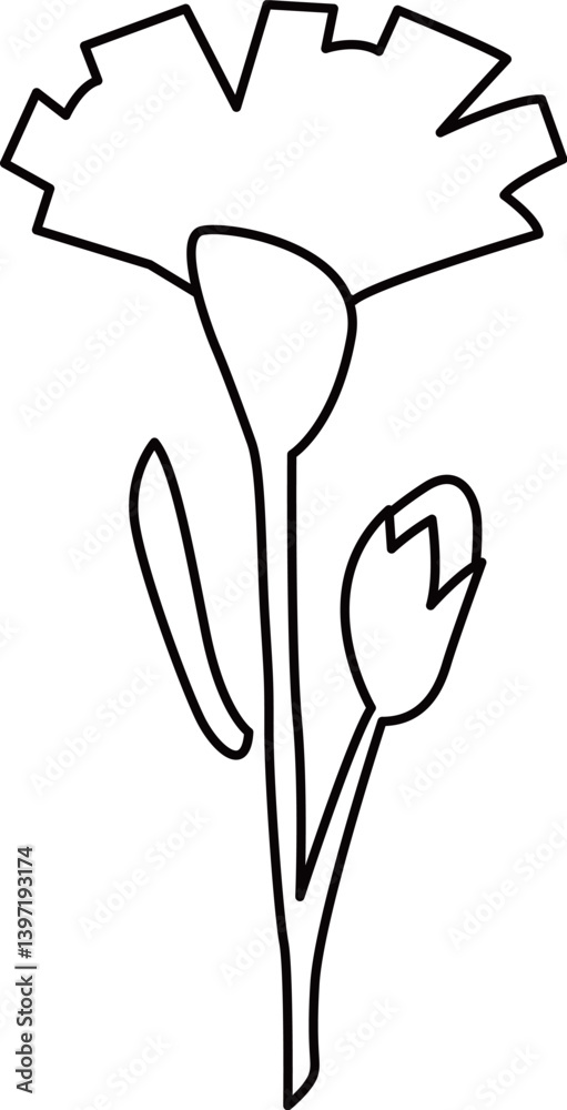 カーネーションのアウトライン白黒線画イラスト カーネーションのアウトライン白黒線画イラスト