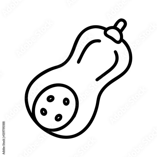 Butternut squash outline drawing vector illustration healthy food ingredient icon
