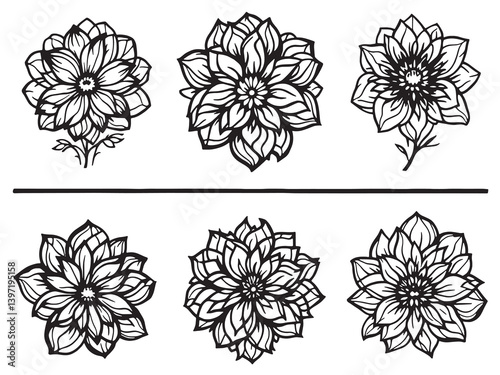 everlasting flower clear vision black line art on white background
