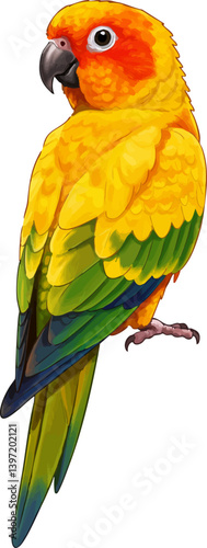 Sun Conure