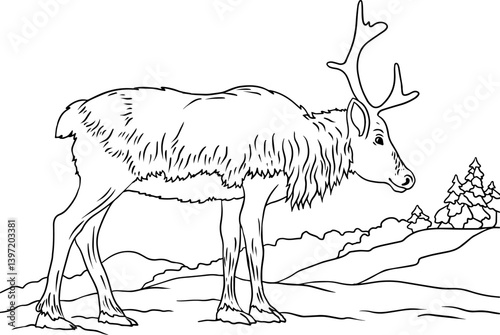 A hand-drawn outline of a reindeer