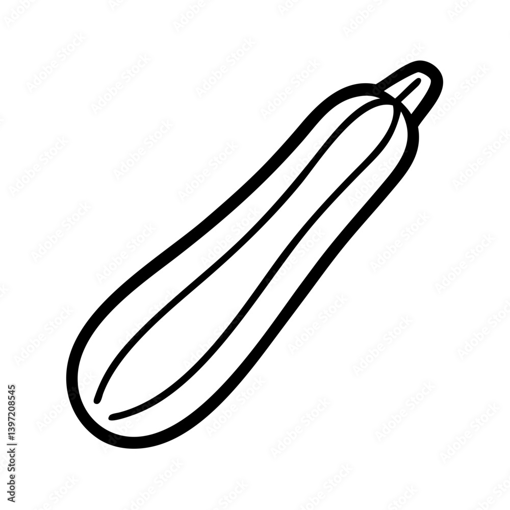 Zucchini squash vegetable outline drawing vector illustration healthy food diet art Zucchini squash vegetable outline drawing vector illustration healthy food diet art