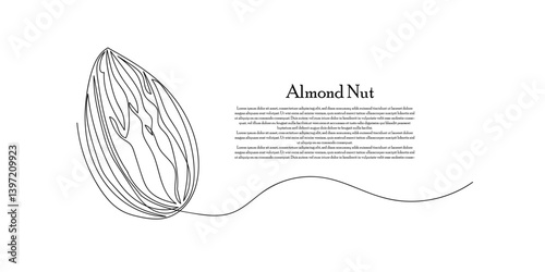 Almond Nut Continuous Line Drawing with Text on White Background