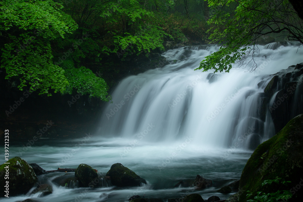 Obraz premium 初夏の滝の清らかな流れ4