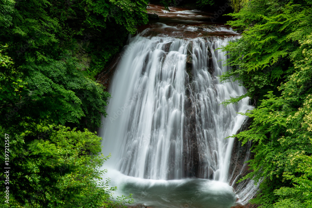 Naklejka premium 初夏の滝の清らかな流れ2