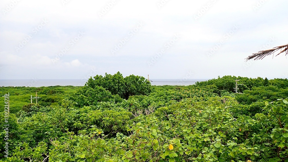 Fototapeta premium 沖縄県八重山諸島鳩間島にある物見台から見える風景