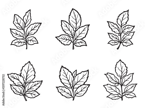Lemon Balm black line art white background clear vision