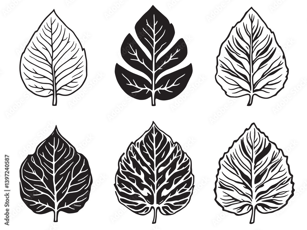 Fototapeta premium Maranta Black Line Art on White Background