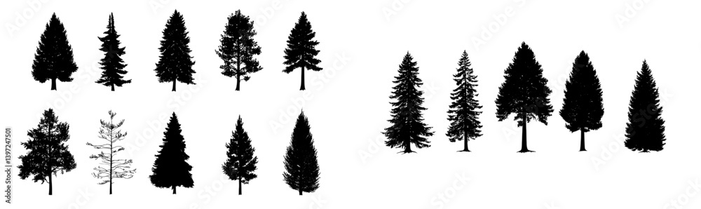 The silhouette of a redwood tree in a modern hand drawn illustration The silhouette of a redwood tree in a modern hand drawn illustration