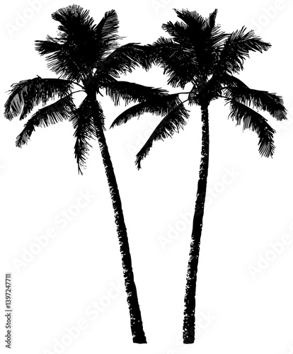 A summer beach with palm trees is the subject of a hand-drawn sketch illustration that also features a view of the sea