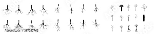 Realistic black illustrations of tree roots, showcasing taproot and fibrous root systems of various plants, isolated on a white background in a modern set