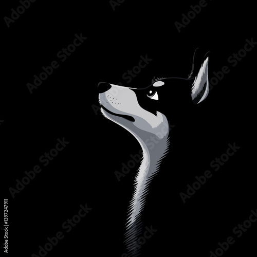 Husky Dog Silhouette Looking Up in the Dark